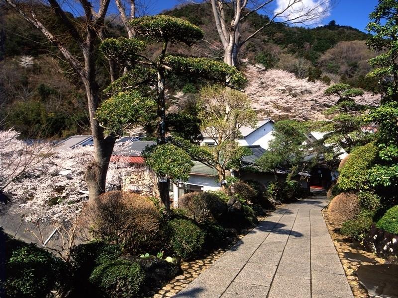 Motoyu Ryokan 厚木 外观 照片