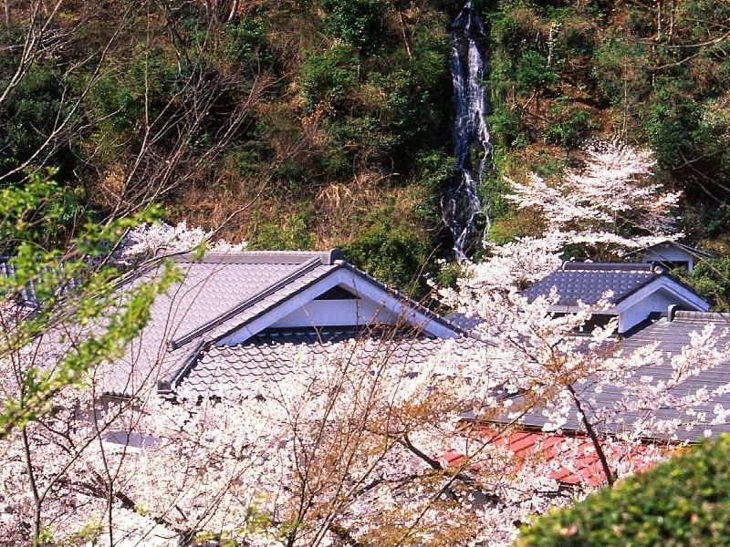 Motoyu Ryokan 厚木 外观 照片