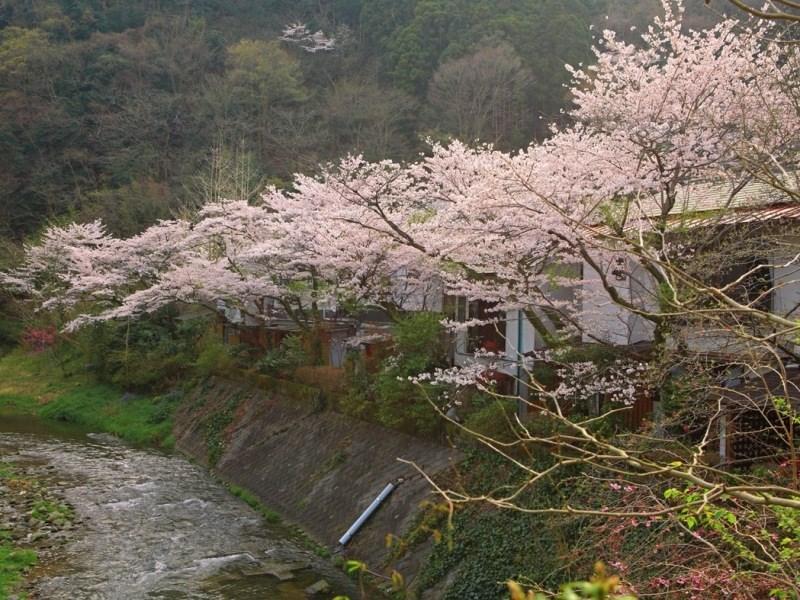 Motoyu Ryokan 厚木 外观 照片