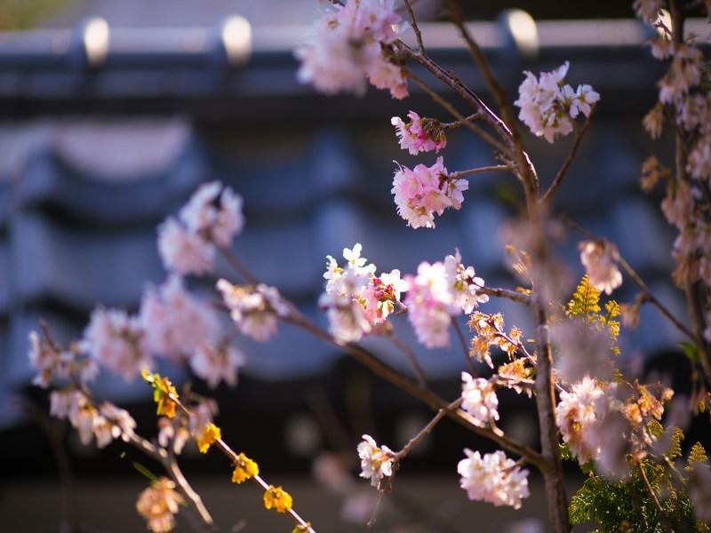 Motoyu Ryokan 厚木 外观 照片