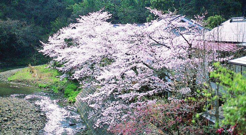 Motoyu Ryokan 厚木 外观 照片